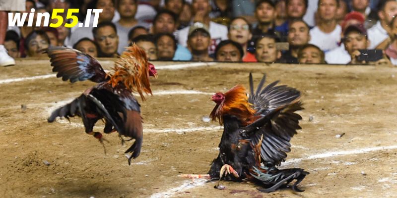 Bí quyết trở thành cao thủ